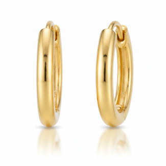Pendientes de aro